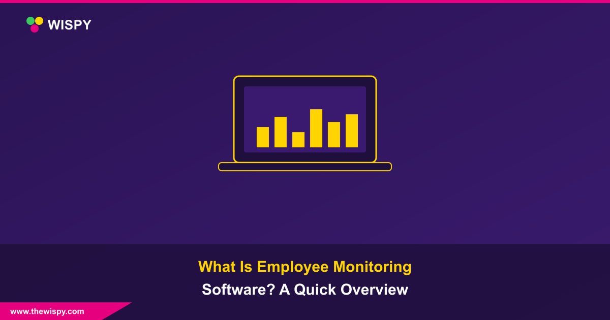 What Is Employee Monitoring Software